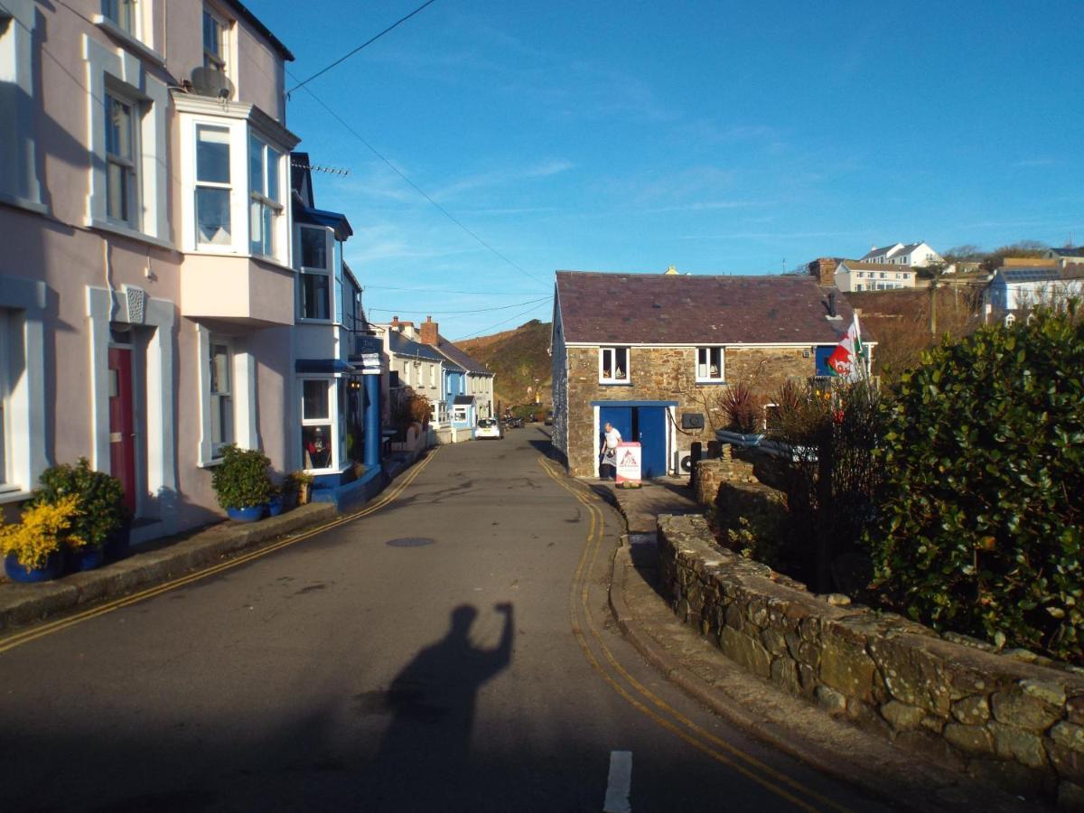 Pendyffryn Manor Bed & Breakfast Bed & Breakfast Little Haven Exterior photo